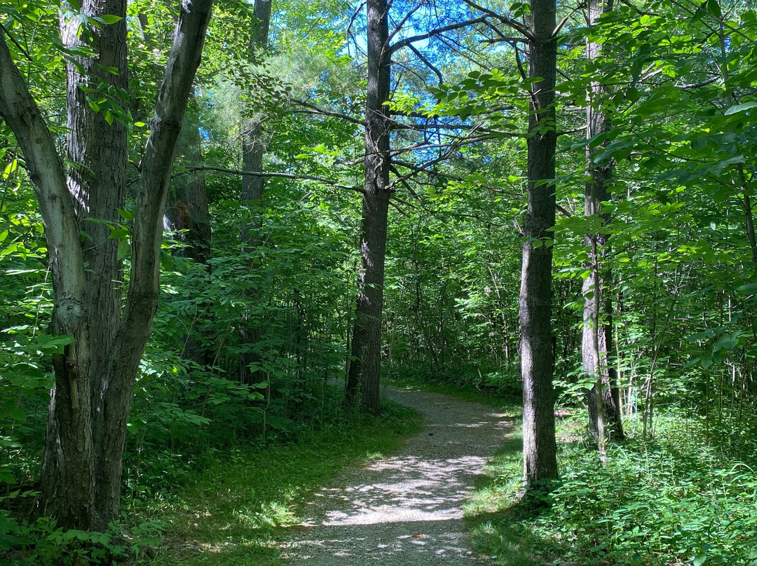 Sheldon Marsh State Nature Preserve-Huron必去景点