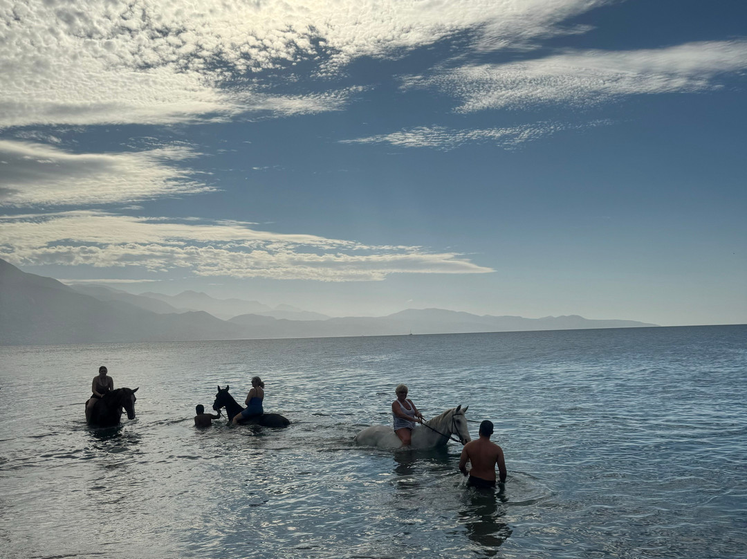 Climb Up-卡拉马塔必去景点