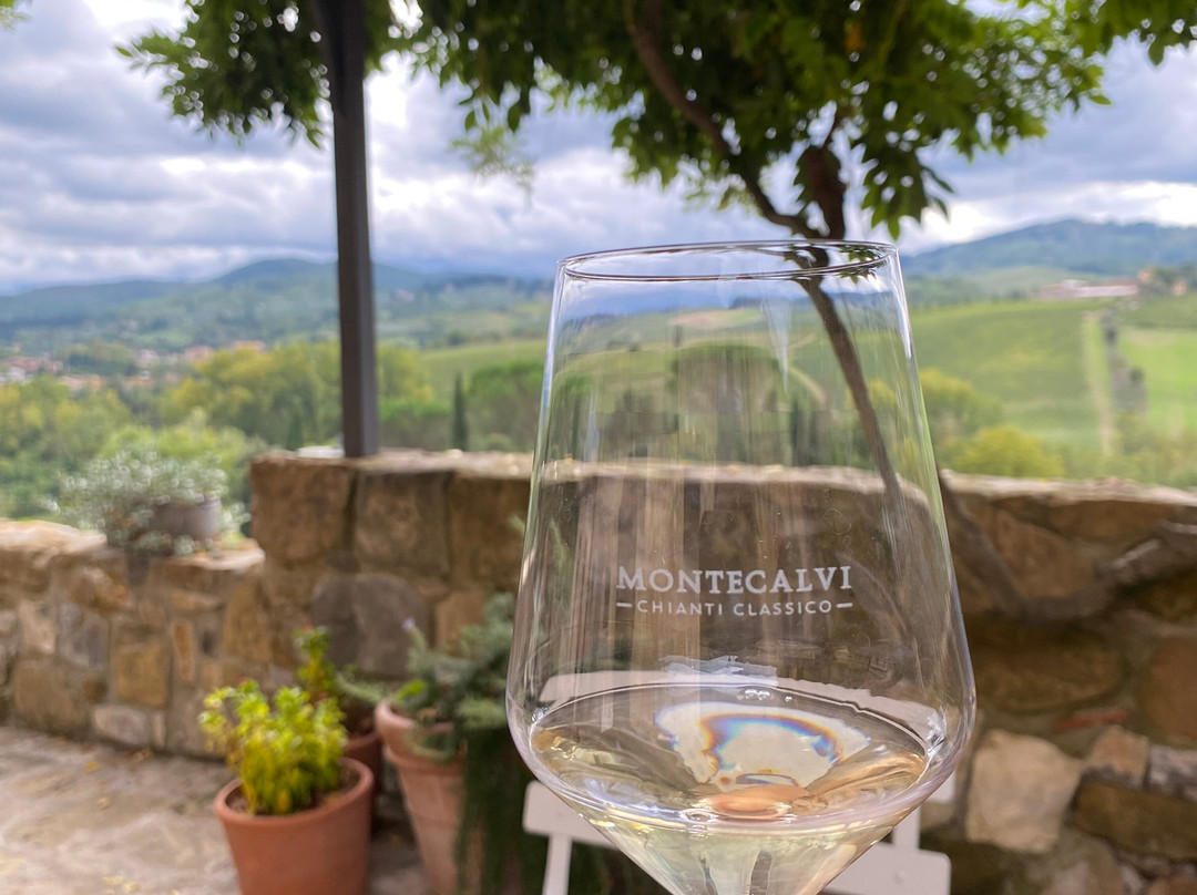 Montecalvi Winery-格雷韦伊恩基亚恩蒂必去景点