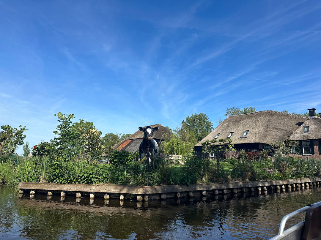 Dutch Tours and Transfers景点图片