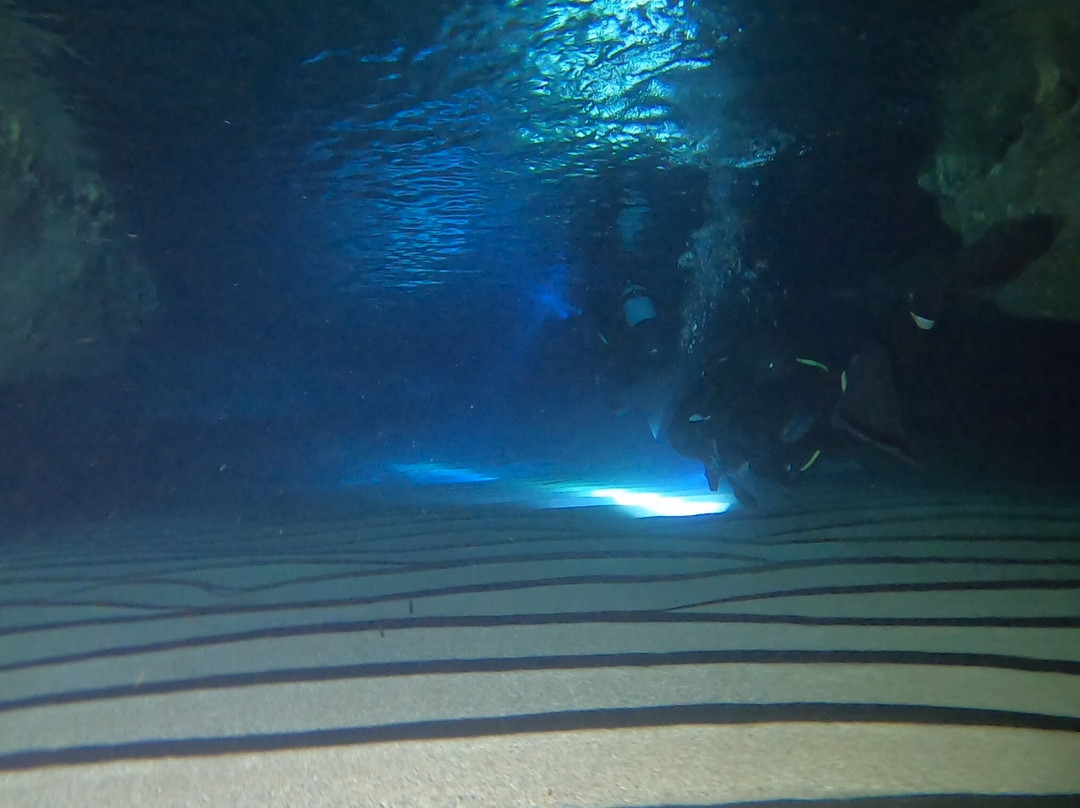 Royal Octopus DIVE CENTER景点图片