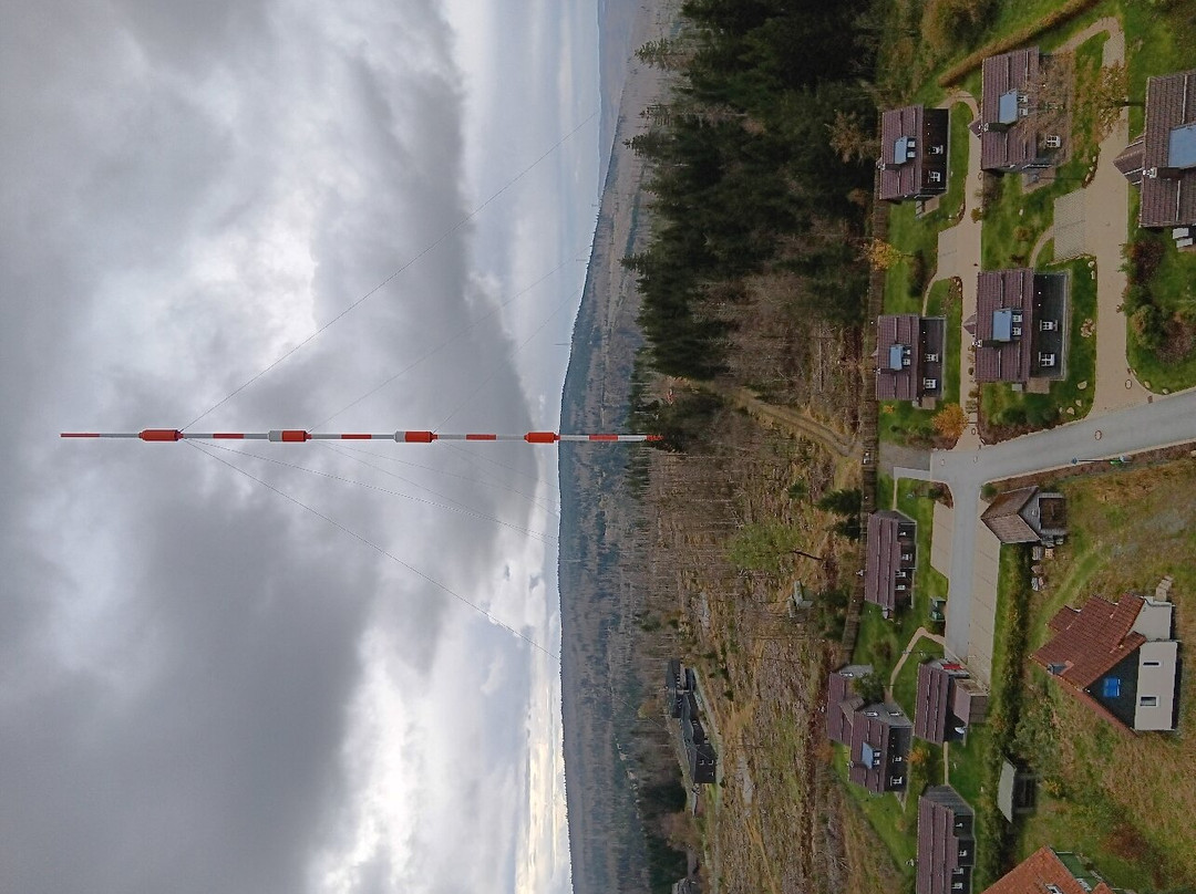 Harzturm景点图片