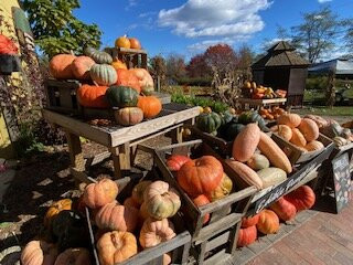 William H. Jordan Farm-开普伊丽莎白必去景点