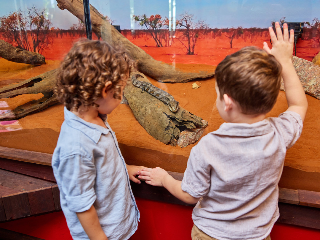 Cairns Koalas & Creatures-凯恩斯必去景点