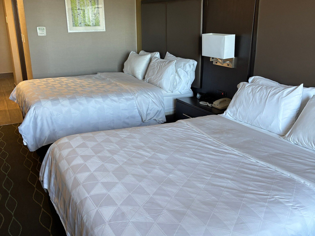 Holiday Inn Sudbury By IHG主图