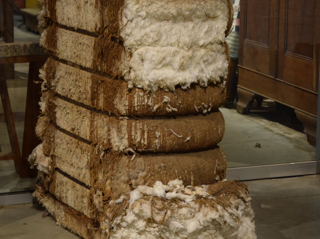 LSU Rural Life Museum-巴吞鲁日必去景点