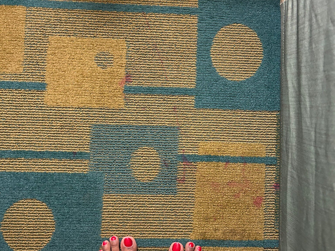 La Quinta Inn & Suites by Wyndham Plattsburgh主图