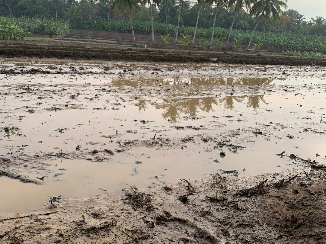 Unplanned Trips In Sri Lanka-Agunukolapelessa必去景点