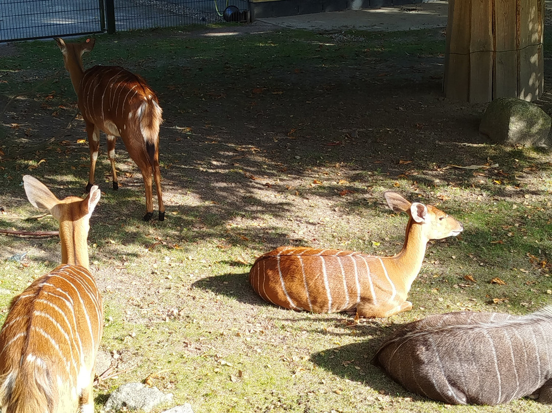 Rostock Zoo景点图片