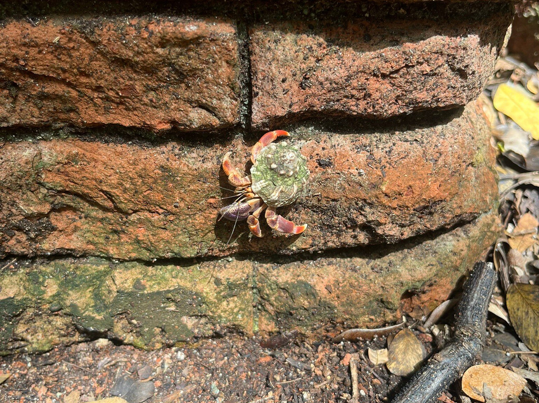 Oliv Express-Le Francois必去景点