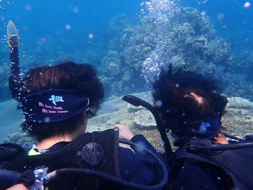 Jellyfish Divers Village-沙努尔必去景点