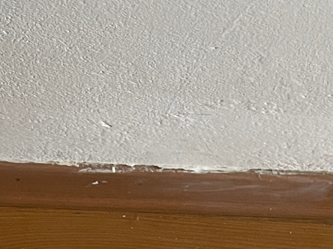 Ascos Coral Beach Hotel主图