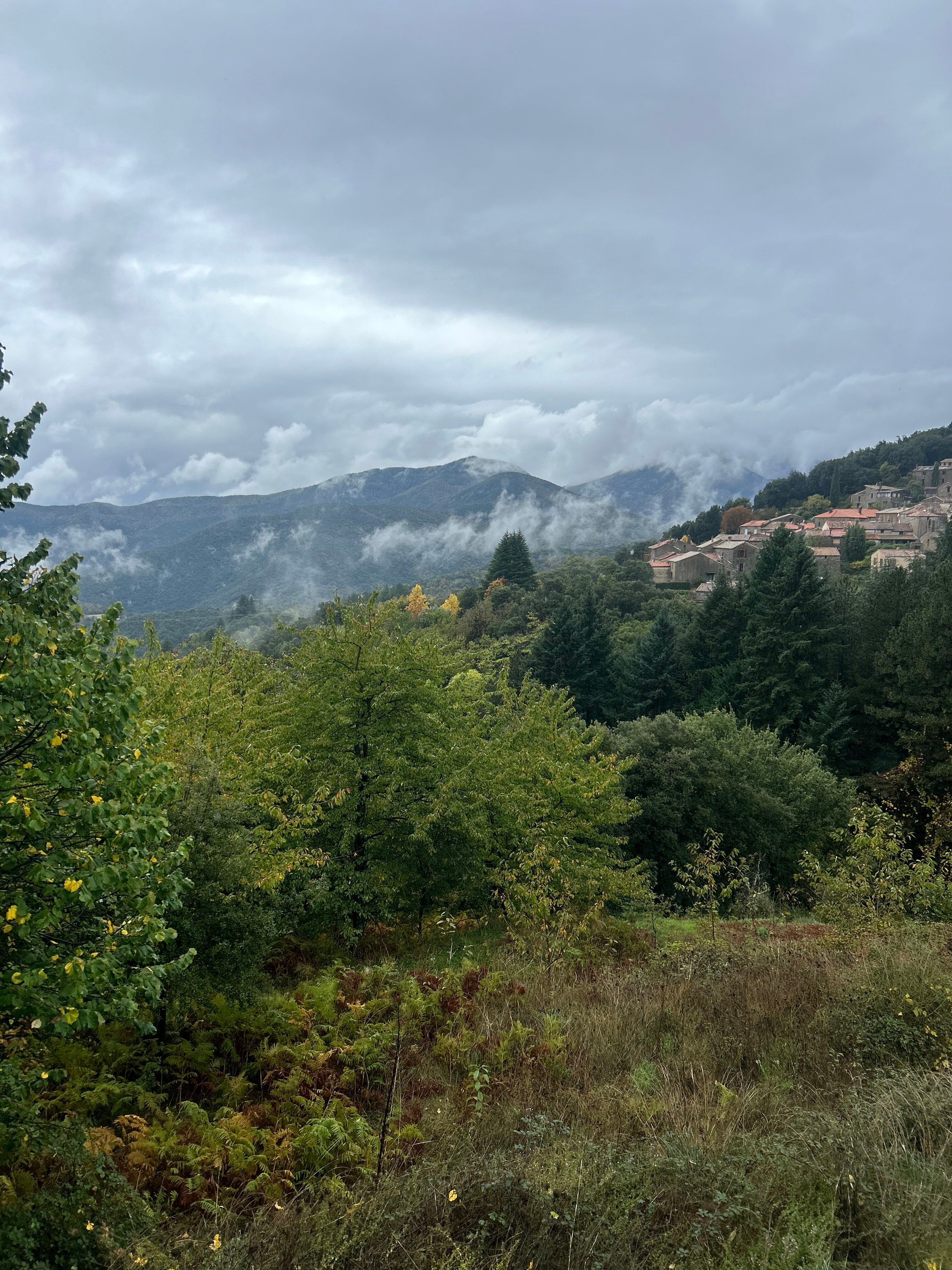 La Soleillade en Cévennes-官方