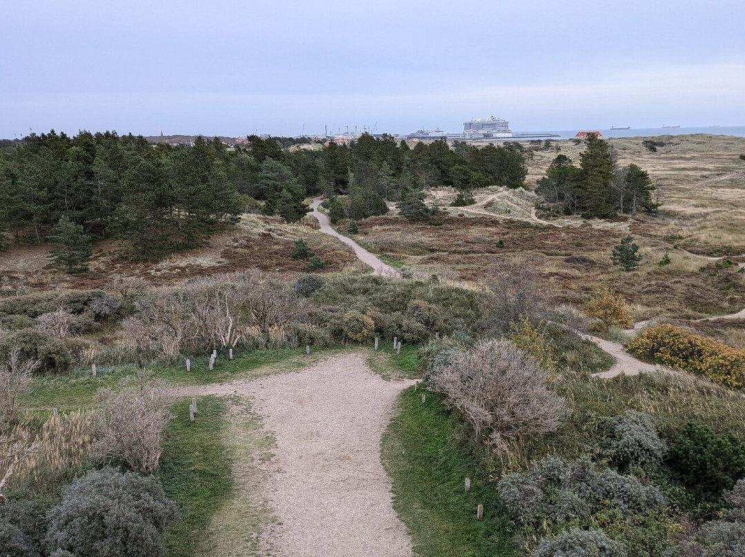 Den Tilsandede Kirke景点图片