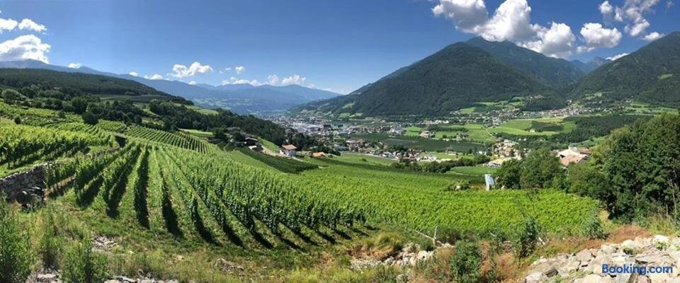 Buehlerhof Urlaub Mit Kind & Hund, Obst-& Weingut, Brixen