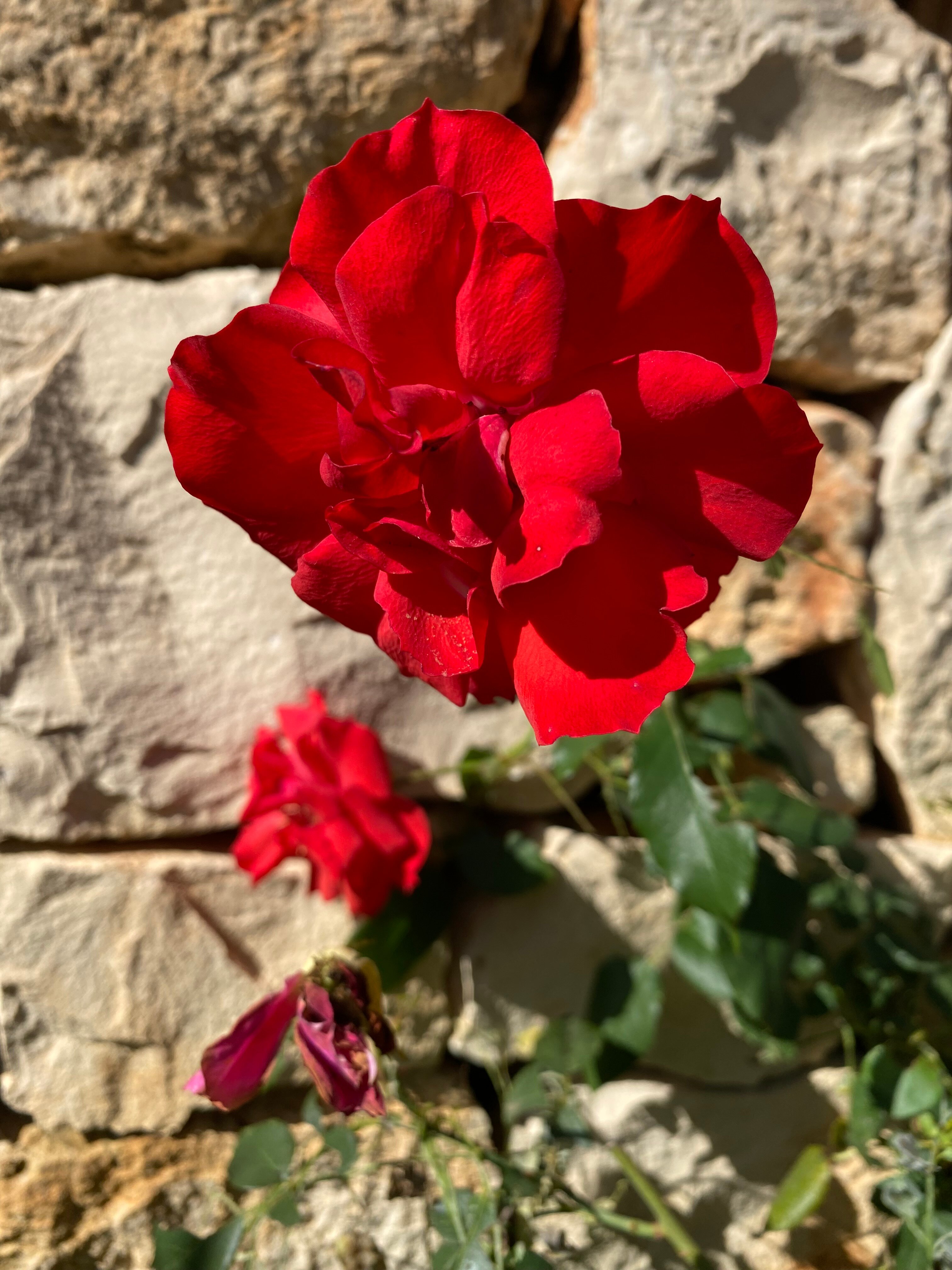 Trulli Valle d'Itria-官方