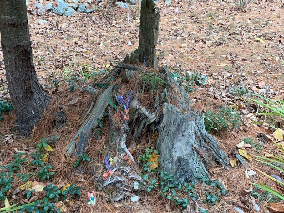 The Oliver Estate-Middleboro必去景点