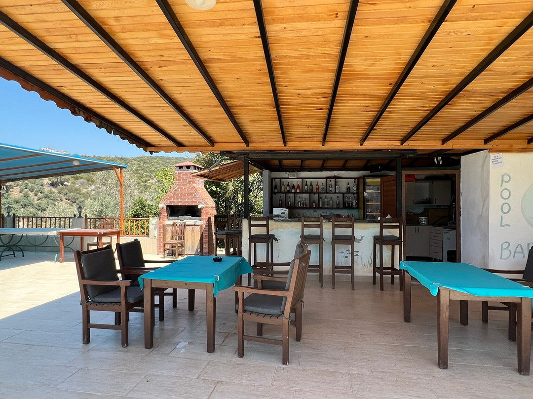 Patara Delfin Hotel主图