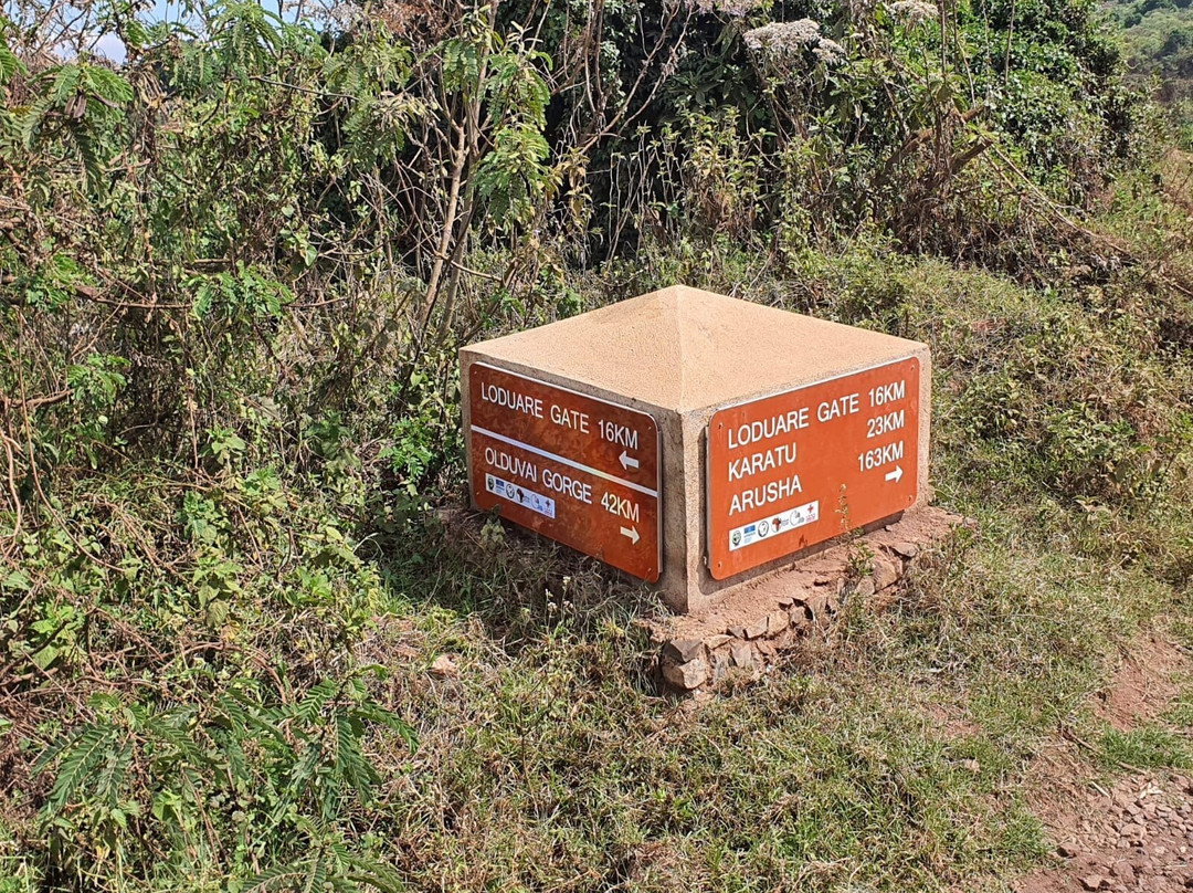 Explorian Safaris-莫西必去景点