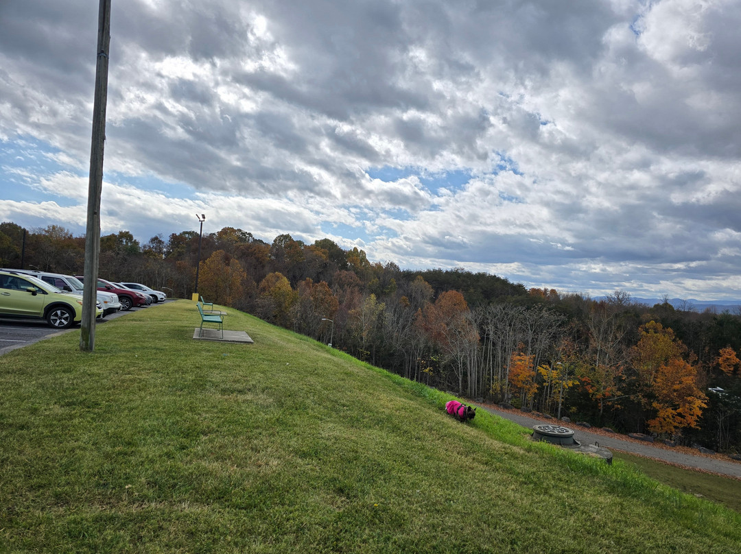 Howard Johnson by Wyndham Lexington主图