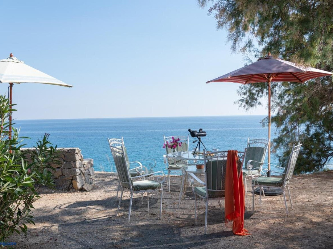 Margarita Apartments