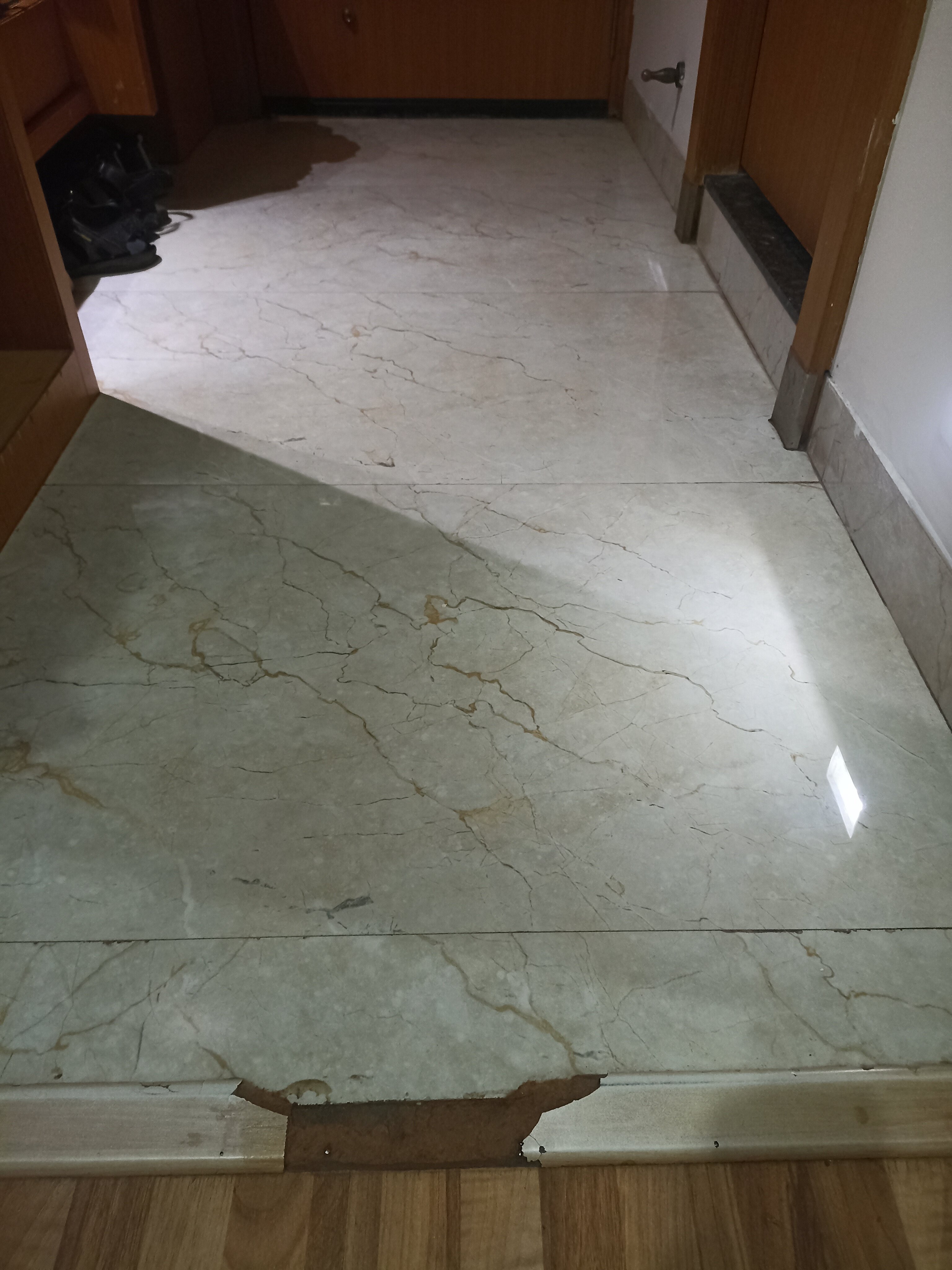 Hotel Hampi International-官方