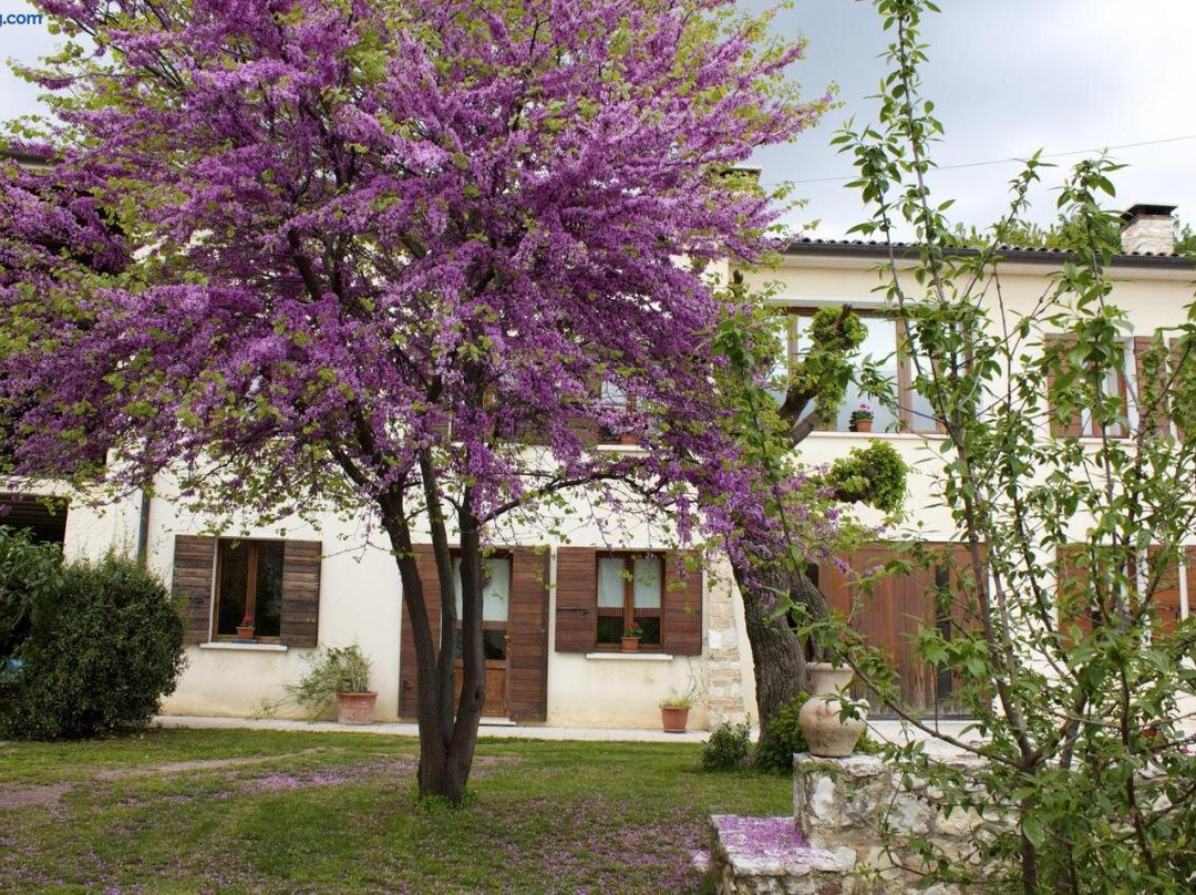 Bed And Breakfast Altè