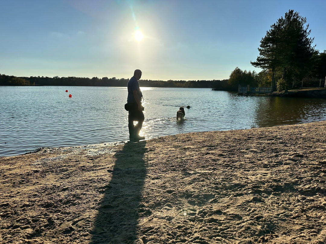 Bawsey Country Park-金斯林必去景点