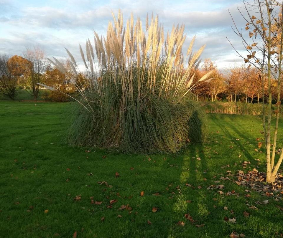 La Haye Georget主图