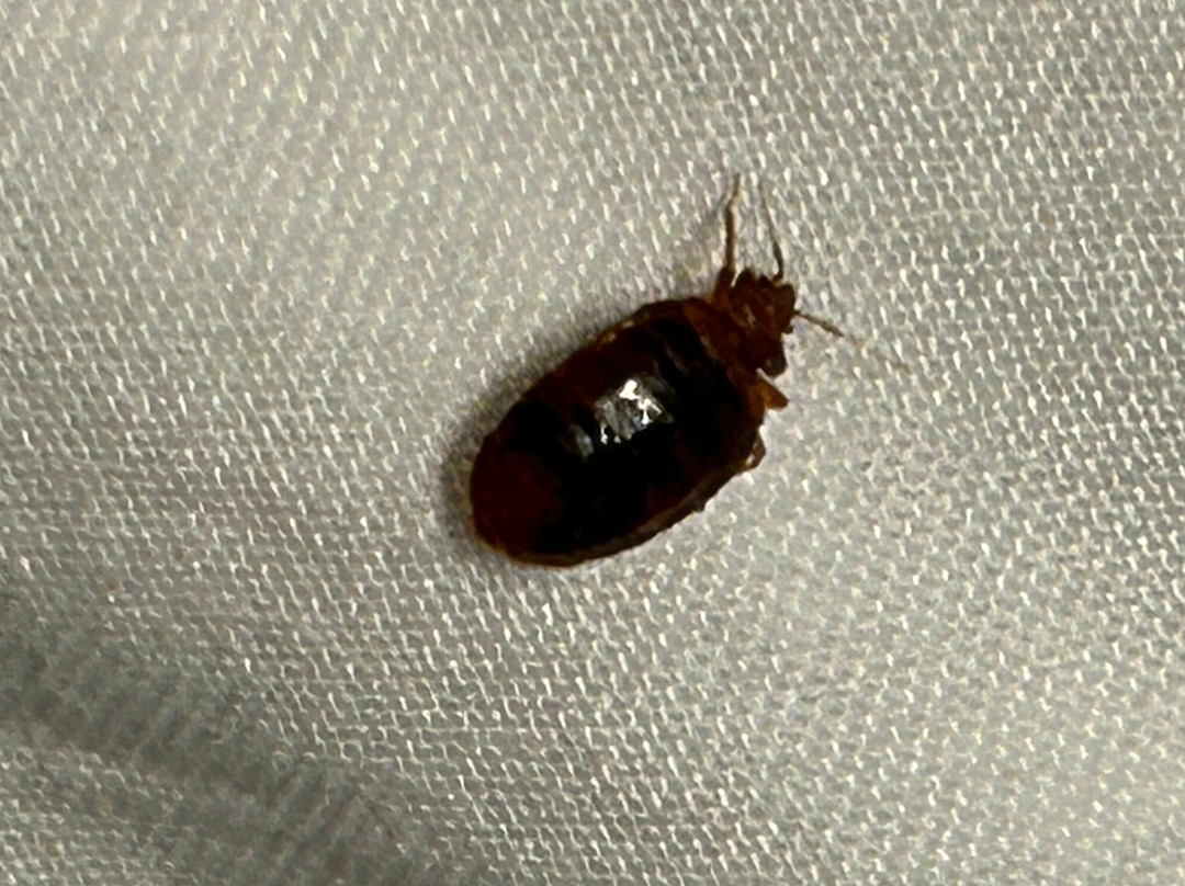 西湖凯悦酒店主图