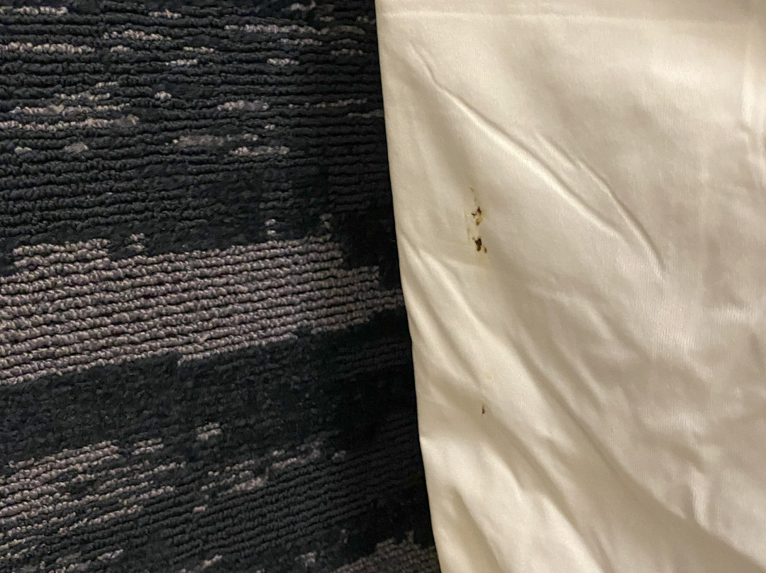 Fairfield Inn & Suites Worcester Auburn主图