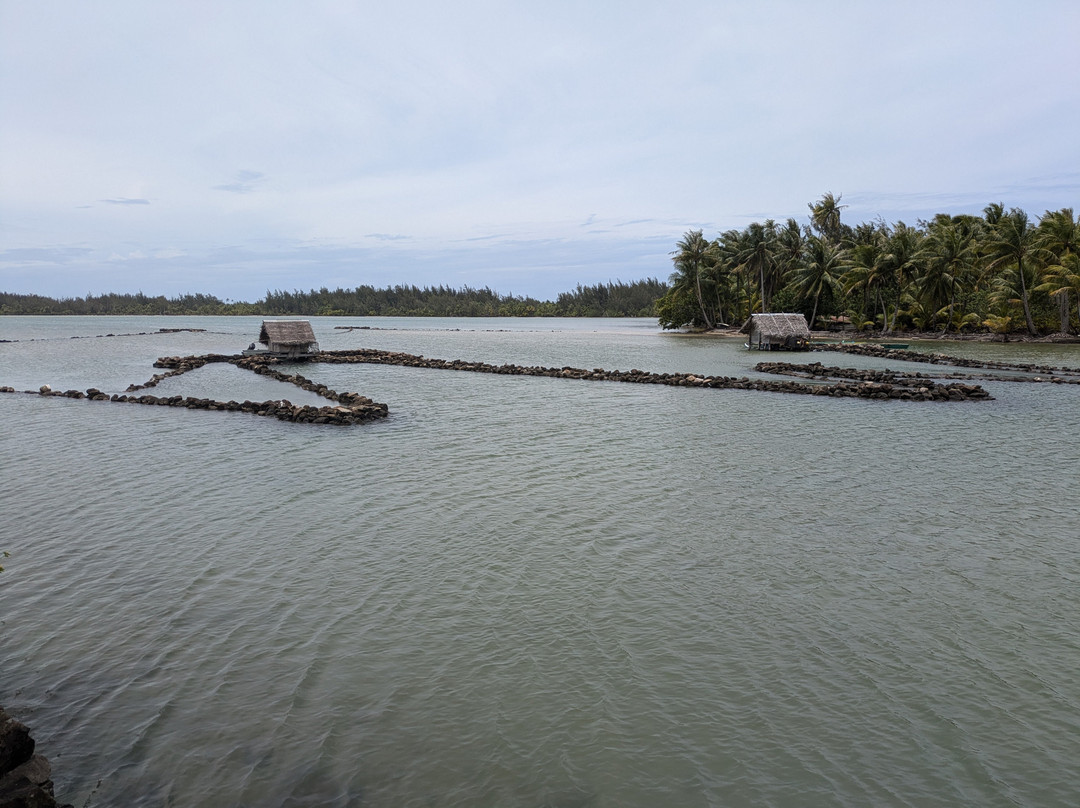 Island Eco Tours : Huahine-Fare必去景点