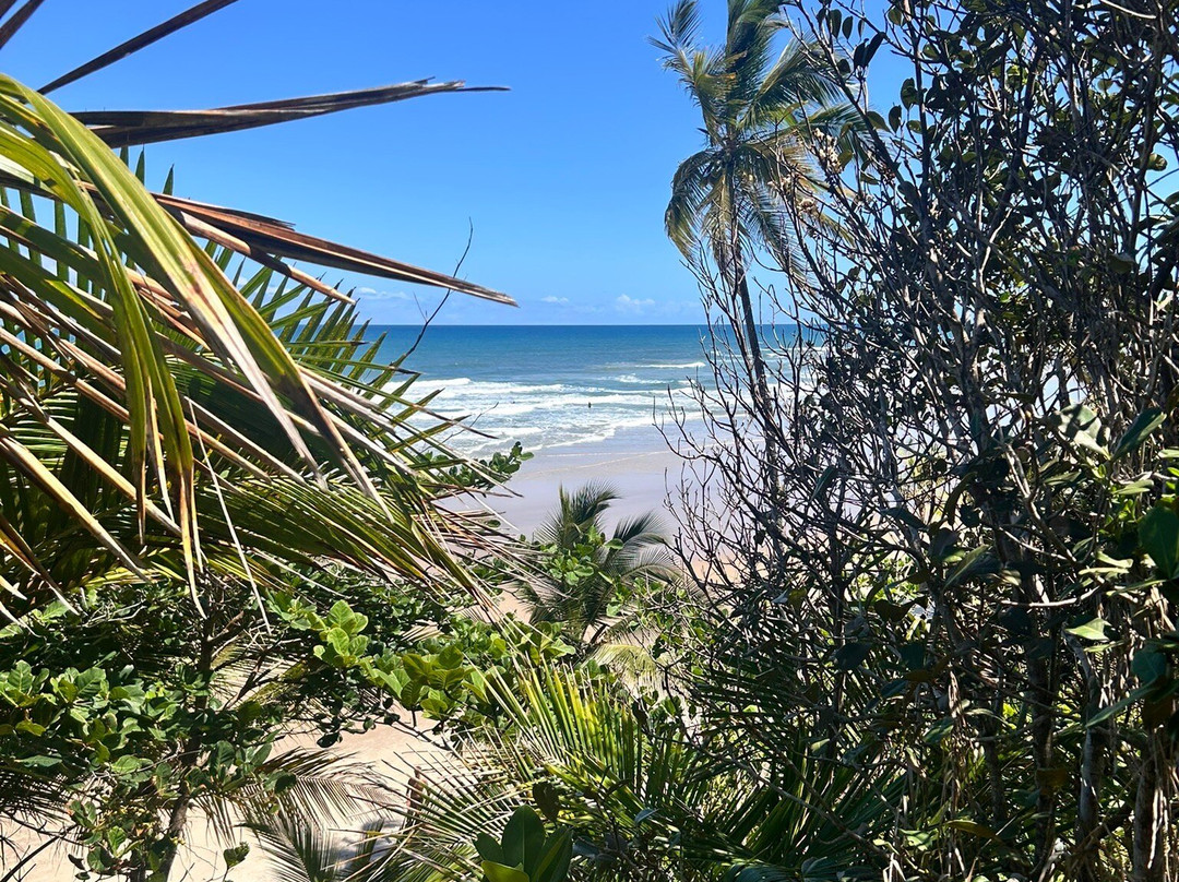 Havaizinho Beach-Itacare必去景点