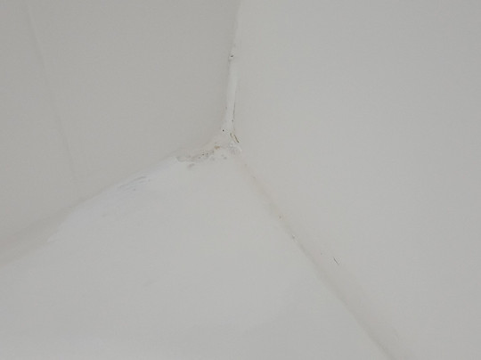 Holiday Inn Express Fredericksburg Southpoint by IHG主图