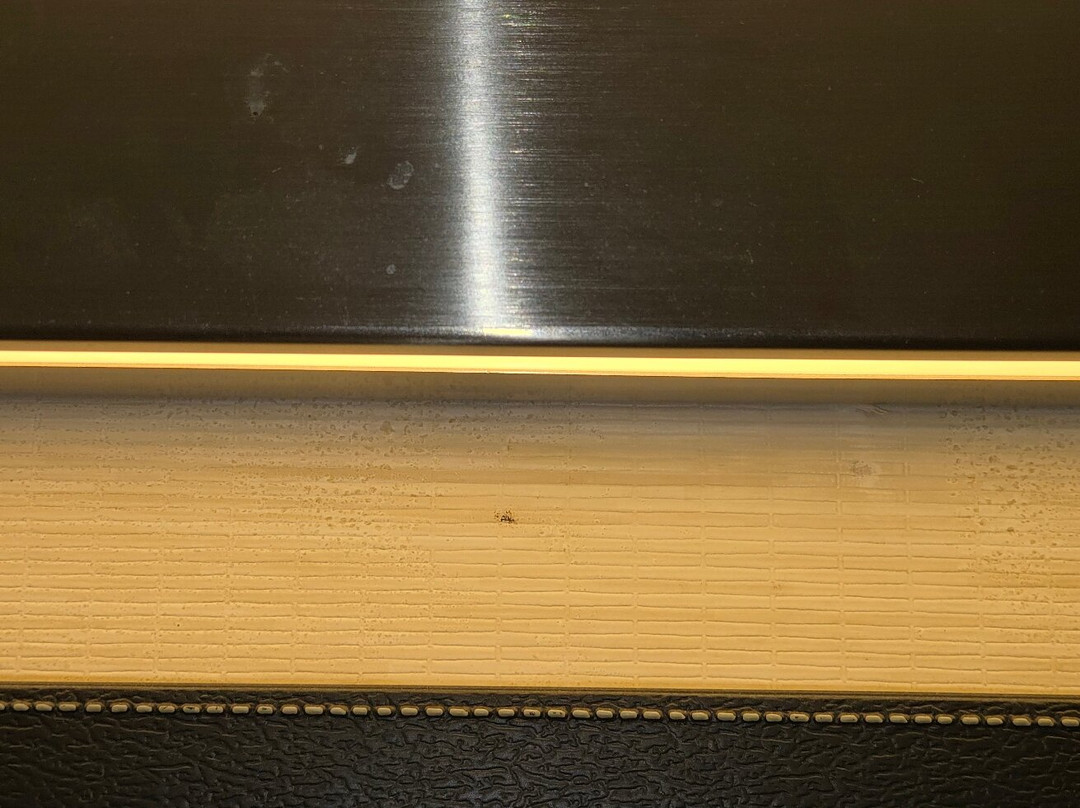 Fairfield Inn & Suites by Marriott Lethbridge主图