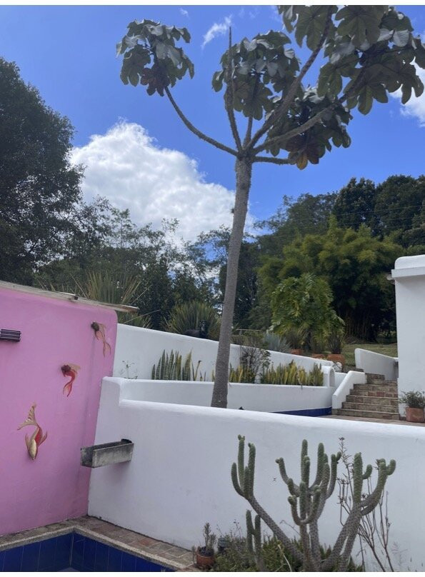 Passadhi Ayurveda & Yoga Retreat主图