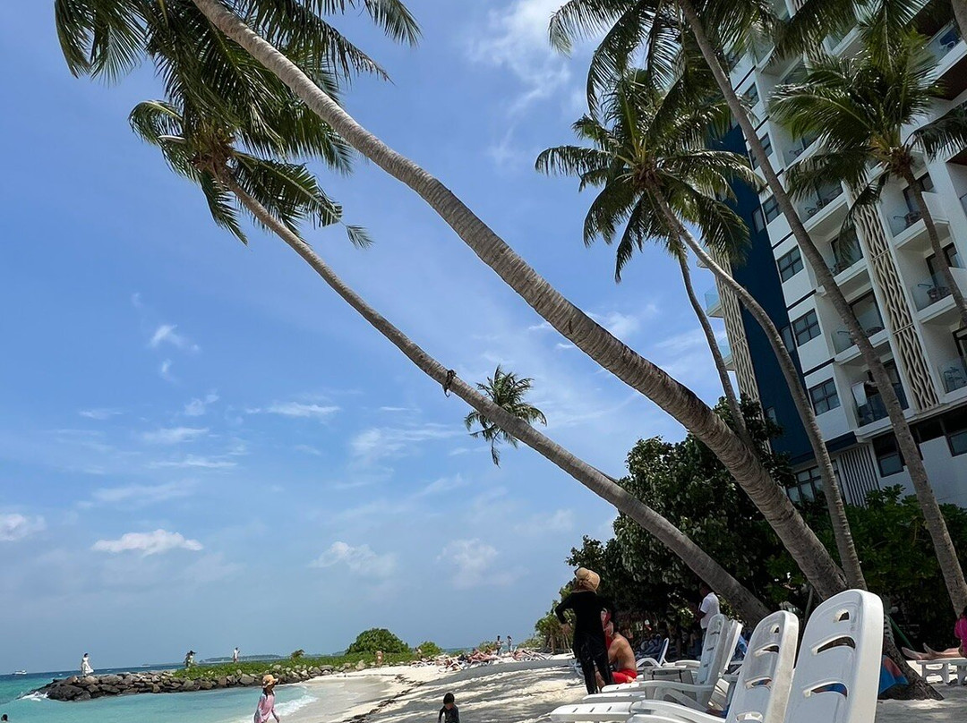 No Bikini Beach景点图片