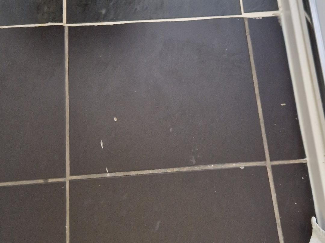 City Centre Guest House - Gloucester Park主图