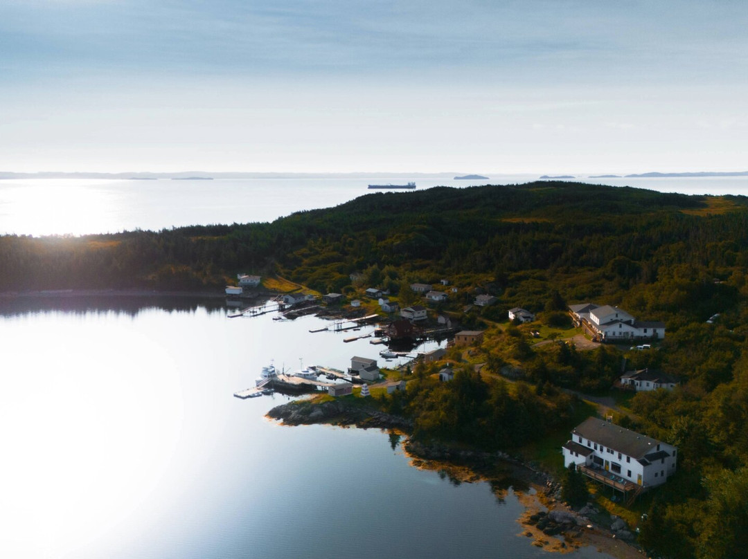 Woody Island Resort主图