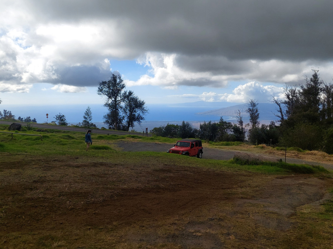 Maui Tea Farm-库拉必去景点