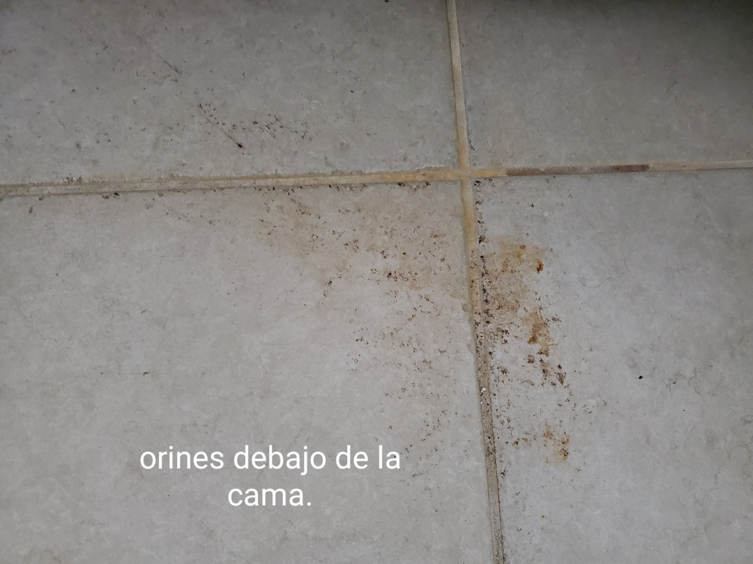 Aquarius Vacation Club主图