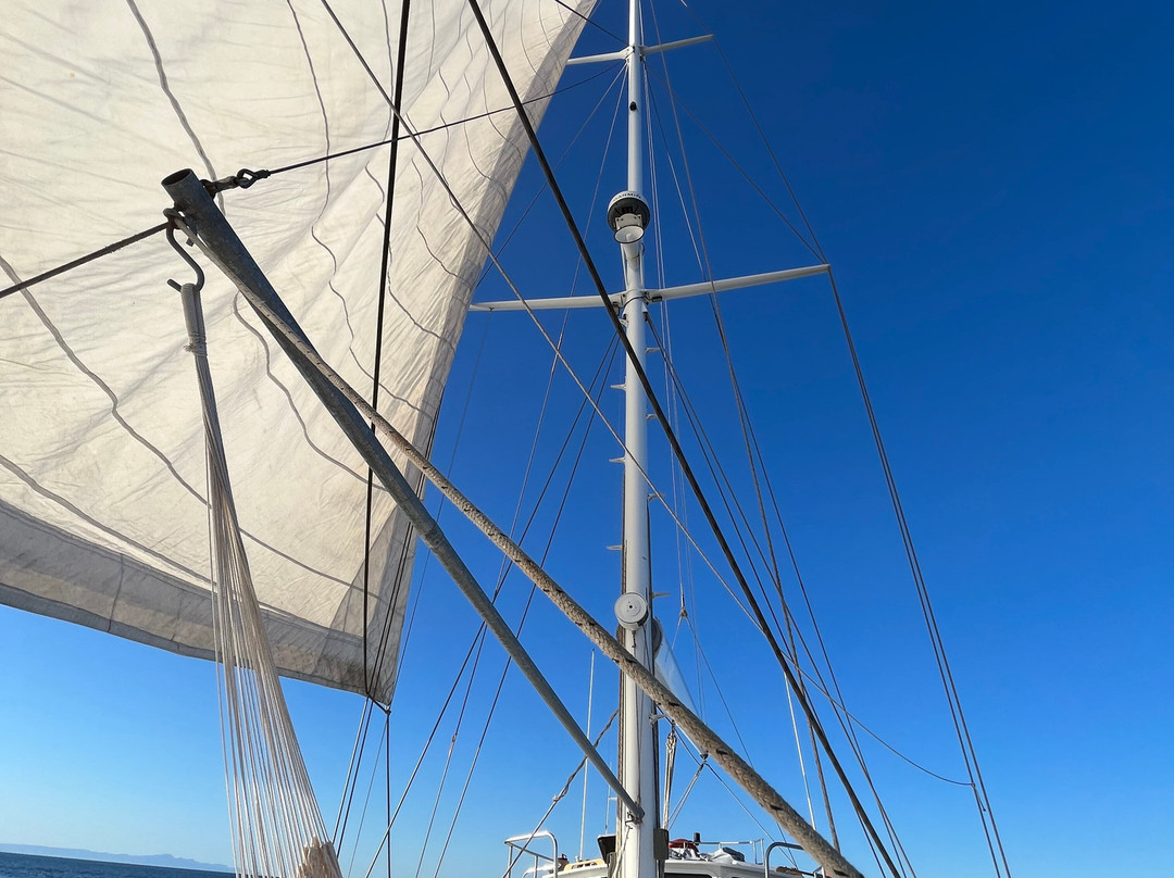 Island Adventure Charters-拉巴斯必去景点