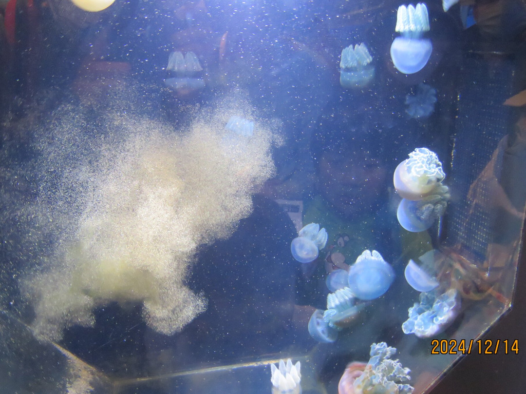 Tropical Environment Greenhouse Dome-板桥区必去景点