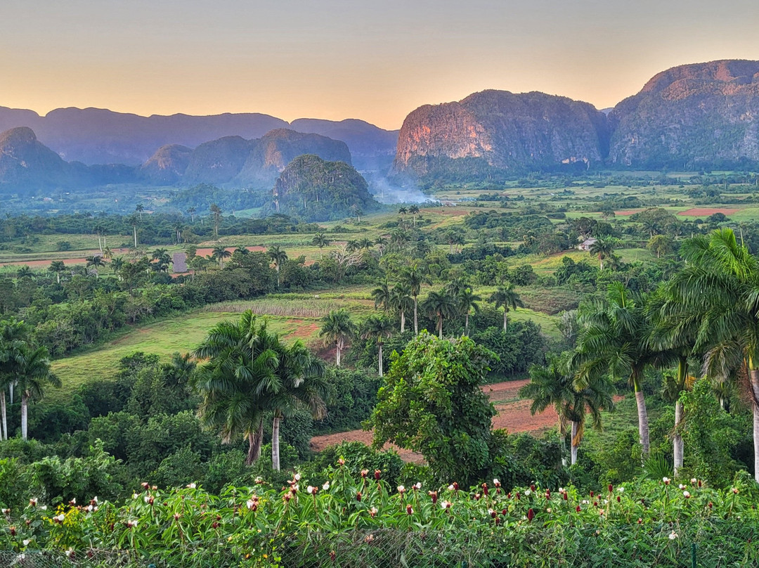 Hotel Horizontes Los Jazmines主图