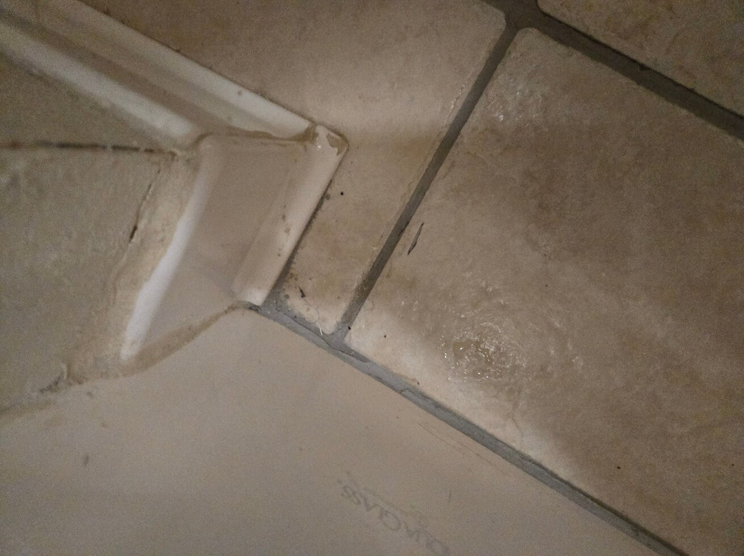 Best Western Wittenberg Inn主图