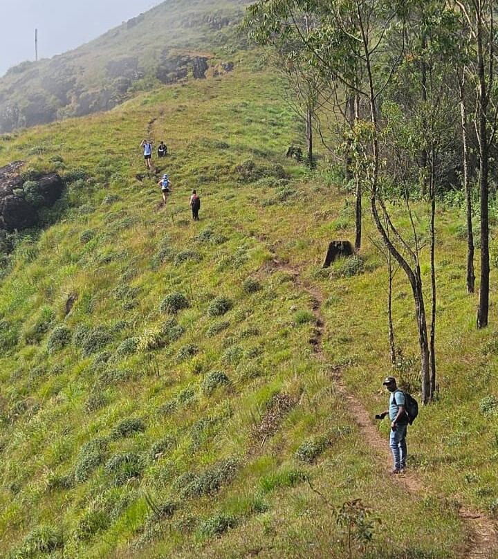 Munnar Nature Trekking Adventures景点图片