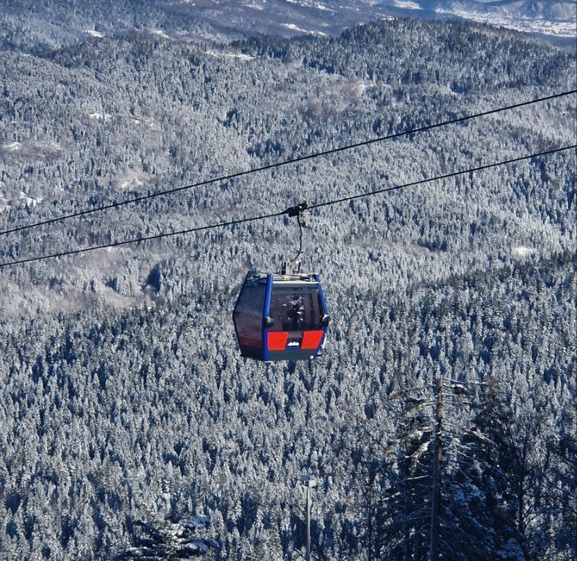 Ski Centar Ravna Planina-Pale必去景点