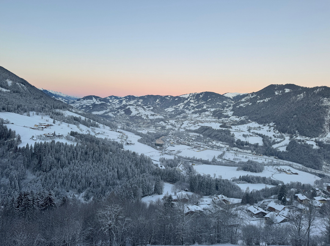 Gut Berg Naturhotel主图