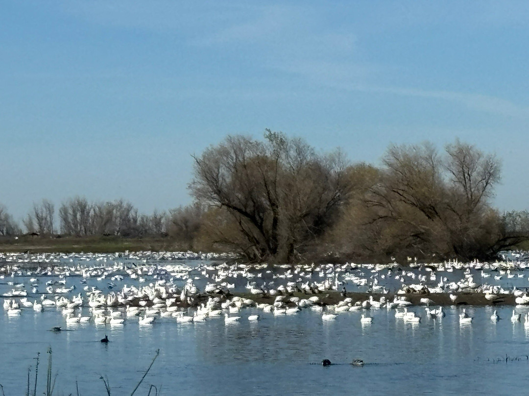 默塞德国家野生动物保护区-默塞德必去景点