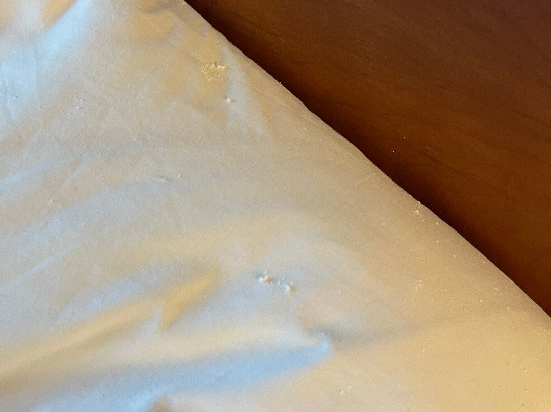 Embassy Suites by Hilton St. Louis St. Charles主图